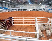 2019_ArcadiaFloridaRodeo-06