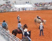 2019_ArcadiaFloridaRodeo-13