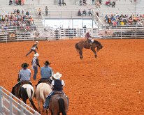 2019_ArcadiaFloridaRodeo-16