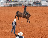 2019_ArcadiaFloridaRodeo-18
