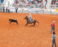 2019_ArcadiaFloridaRodeo-20