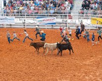 2019_ArcadiaFloridaRodeo-21