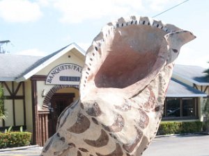 2019 Florida Spring Shell Factory
