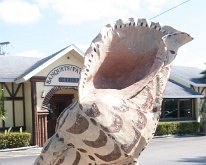 2019_ShellFactoryFlorida_0001