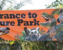 2019_ShellFactoryFlorida_0002