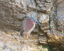 2019_ShellFactoryFlorida_0005