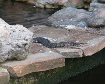 2019_ShellFactoryFlorida_0007