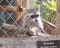 2019_ShellFactoryFlorida_0019