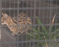 2019_ShellFactoryFlorida_0020