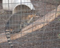 2019_ShellFactoryFlorida_0021