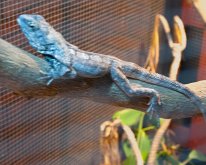 2019_ShellFactoryFlorida_0022