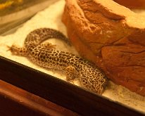 2019_ShellFactoryFlorida_0024
