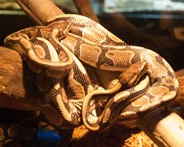 2019_ShellFactoryFlorida_0028
