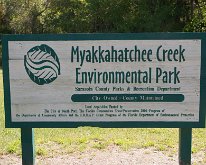 2019_Florida_MyakkahacheeCreek