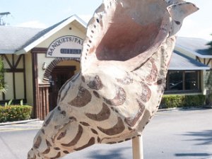 2019 Florida Spring Shell Factory