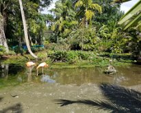 2025_WonderGardens-13