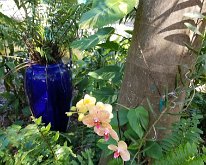2025_WonderGardens-15