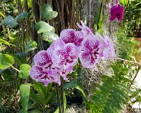 2025_WonderGardens-16