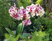 2025_WonderGardens-17