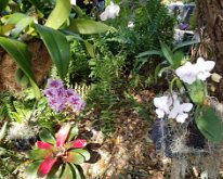 2025_WonderGardens-19
