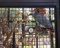 2025_WonderGardens-27