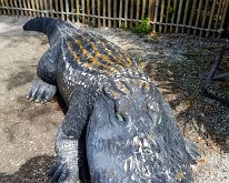 2025_WonderGardens-28