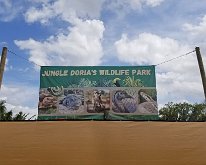 2025_JungleDorias