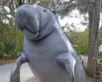 2025_ManateePark-03