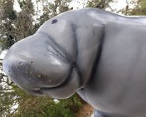 2025_ManateePark-04