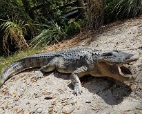 2025_ManateePark-11