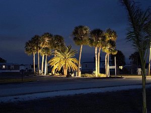 2025 Florida