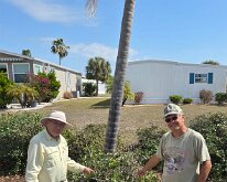 TLC_IndianHawthornPruning-05