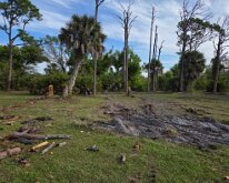 2026_TreeStumpCleanup-22