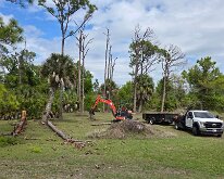 2026_TreeStumpCleanup-23