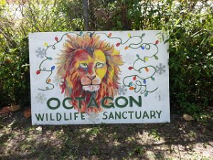 2017 Octogon Wildlife Sanctuary