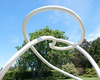 MortonRoots_2010_0004