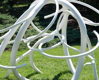 MortonRoots_2010_0006