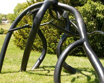 MortonRoots_2010_0007