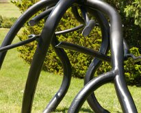 MortonRoots_2010_0008