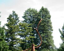 MortonRoots_2010_0009