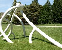 MortonRoots_2010_0011