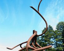 MortonRoots_2010_0013