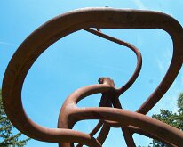 MortonRoots_2010_0015