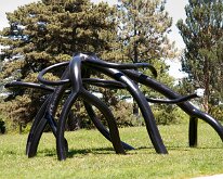 MortonRoots_2010_0017