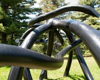 MortonRoots_2010_0018