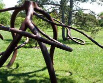 MortonRoots_2010_0020