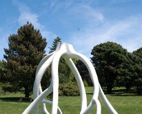 MortonRoots_2010_0023