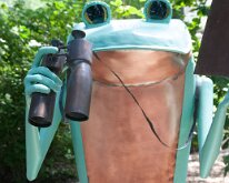 2016 - MortArboretumFrogs_0002