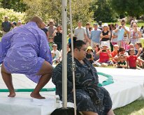 2016 - MortArboretumFrogs_0005