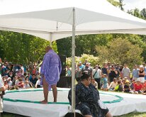 2016 - MortArboretumFrogs_0006